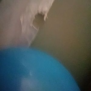 Meet your Posher, Junior